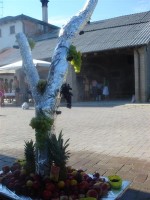 clicca qui per ingrandire la foto