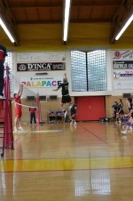 clicca qui per ingrandire la foto