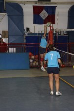 clicca qui per ingrandire la foto