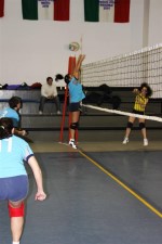 clicca qui per ingrandire la foto